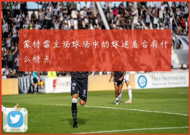 蒙特雷主场球场中的球迷看台有什么特点